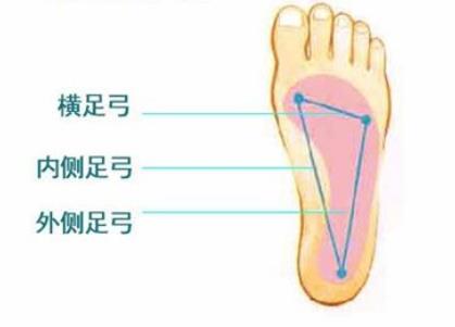 矫形鞋垫 vs 普通鞋垫